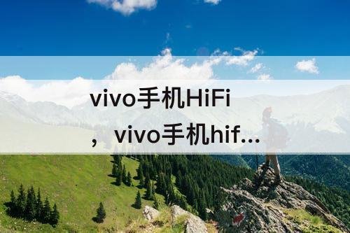 vivo手机HiFi，vivo手机hifi支持第三方播放器