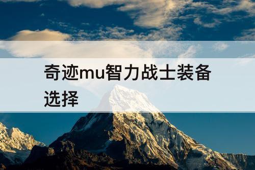奇迹mu智力战士装备选择