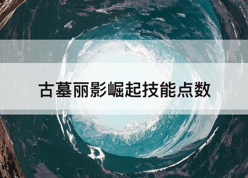 古墓丽影崛起技能点数