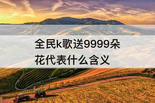 全民k歌送9999朵花代表什么含义