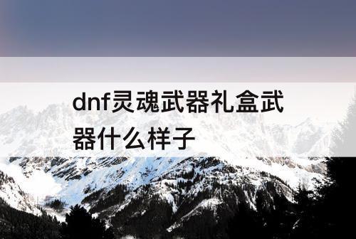 dnf灵魂武器礼盒武器什么样子