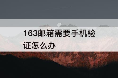 163邮箱需要手机验证怎么办