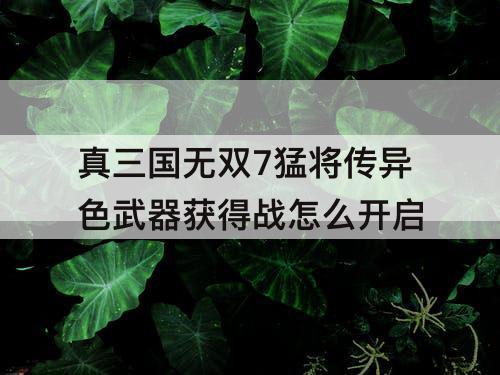 真三国无双7猛将传异色武器获得战怎么开启