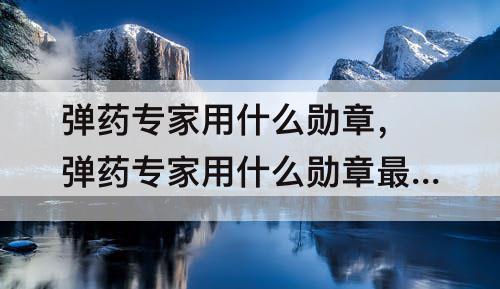 弹药专家用什么勋章，弹药专家用什么勋章最好