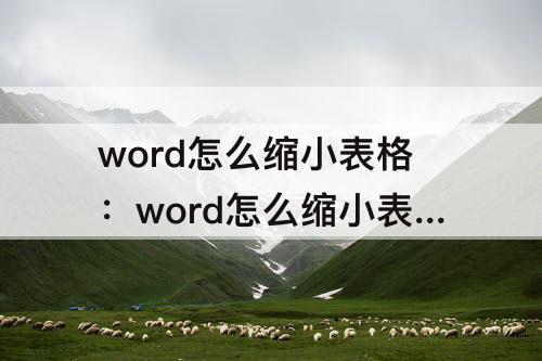 word怎么缩小表格：word怎么缩小表格大小
