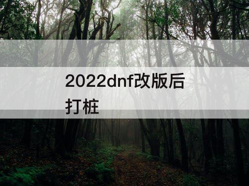 2022dnf改版后打桩