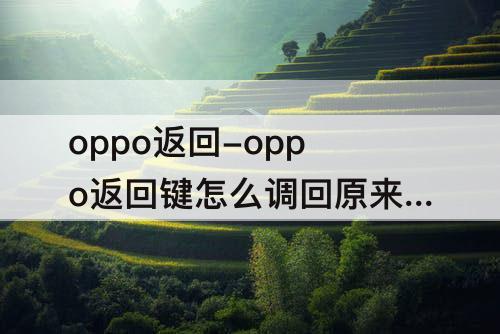 oppo返回-oppo返回键怎么调回原来的