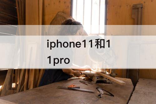 iphone11和11pro