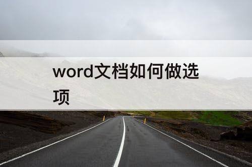 word文档如何做选项