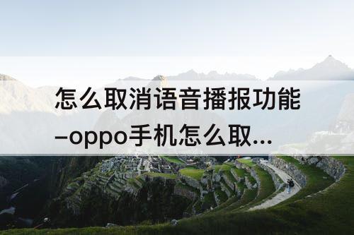 怎么取消语音播报功能-oppo手机怎么取消语音播报功能