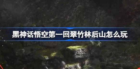 黑神话：悟空正式发售，翠竹林后山玩法指南