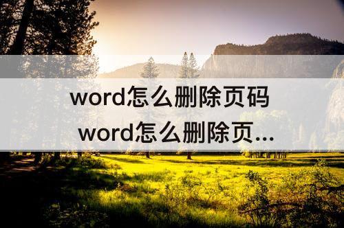 word怎么删除页码 word怎么删除页码中的节