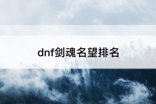 dnf剑魂名望排名