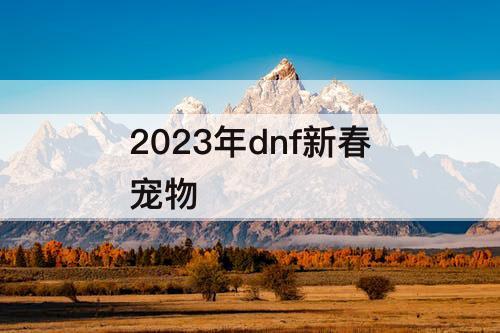 2023年dnf新春宠物