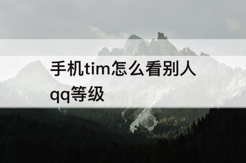 手机tim怎么看别人qq等级