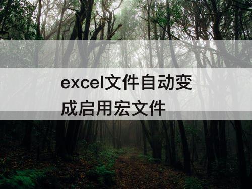 excel文件自动变成启用宏文件