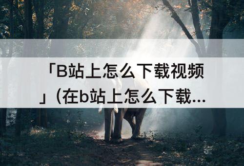 「B站上怎么下载视频」(在b站上怎么下载视频到本地)