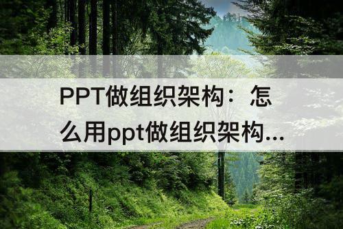 PPT做组织架构：怎么用ppt做组织架构图