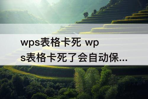 wps表格卡死 wps表格卡死了会自动保存文件吗