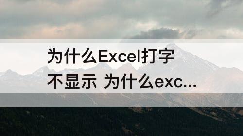 为什么Excel打字不显示 为什么excel打字不显示出来