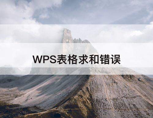 WPS表格求和错误