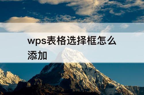 wps表格选择框怎么添加