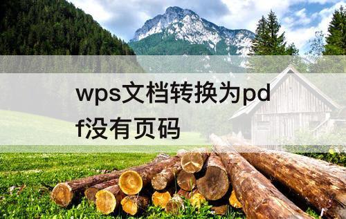 wps文档转换为pdf没有页码