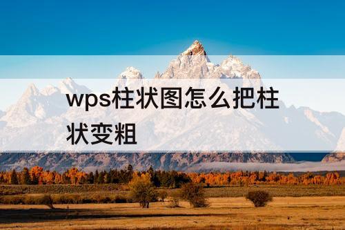 wps柱状图怎么把柱状变粗