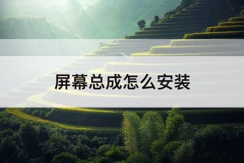 屏幕总成怎么安装