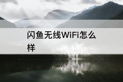 闪鱼无线WiFi怎么样