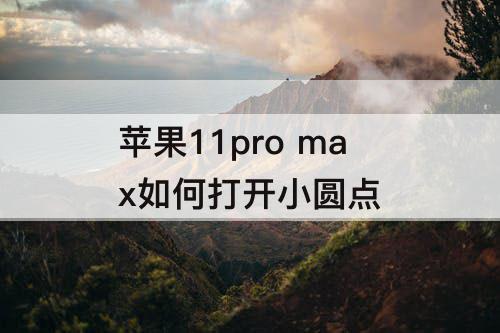 苹果11pro max如何打开小圆点