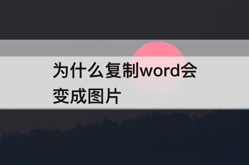 为什么复制word会变成图片