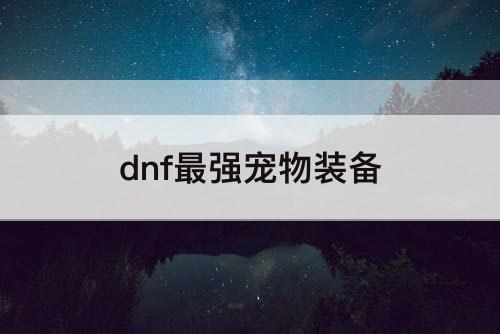 dnf最强宠物装备