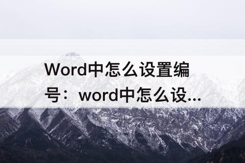 Word中怎么设置编号：word中怎么设置编号位置默认