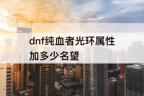 dnf纯血者光环属性加多少名望