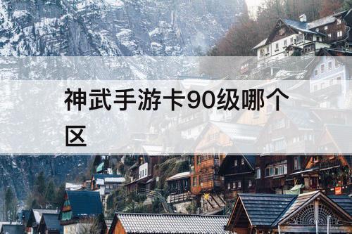 神武手游卡90级哪个区