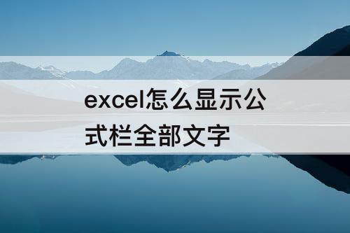 excel怎么显示公式栏全部文字