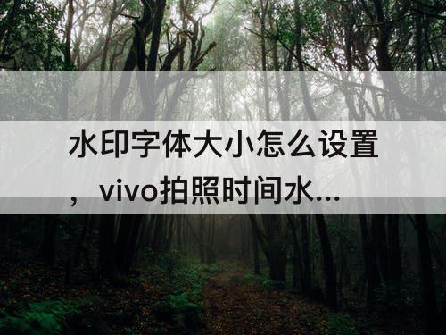 水印字体大小怎么设置，vivo拍照时间水印字体大小怎么设置