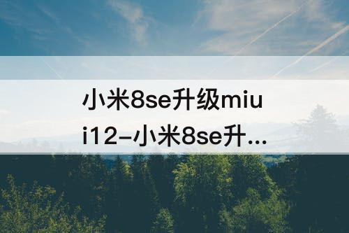 小米8se升级miui12-小米8se升级miui12.5 扩运存