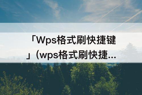 「Wps格式刷快捷键」(wps格式刷快捷键用不了)