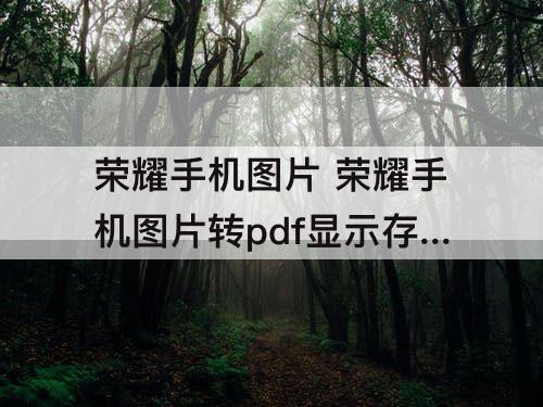 荣耀手机图片 荣耀手机图片转pdf显示存储空间不足是怎么回事