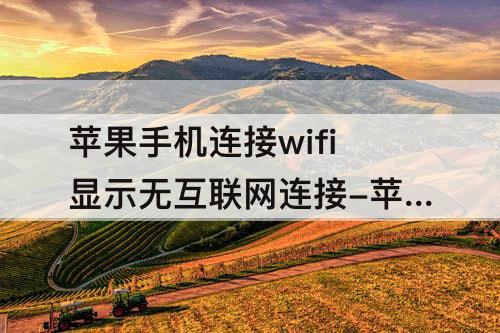 苹果手机连接wifi显示无互联网连接-苹果手机连接wifi显示无互联网连接安卓手机可以