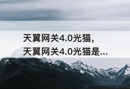 天翼网关4.0光猫，天翼网关4.0光猫是不是万兆