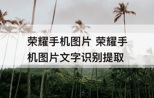 荣耀手机图片 荣耀手机图片文字识别提取