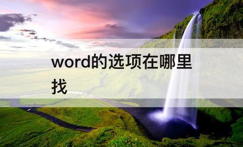 word的选项在哪里找