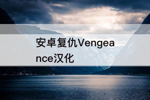 安卓复仇Vengeance汉化