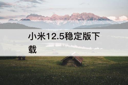 小米12.5稳定版下载