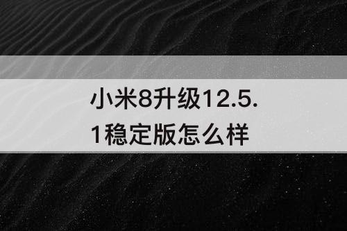 小米8升级12.5.1稳定版怎么样