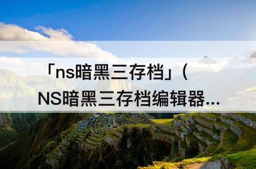 「ns暗黑三存档」(NS暗黑三存档编辑器)