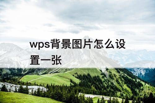 wps背景图片怎么设置一张